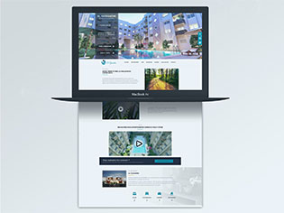 UX/UI design UX/UI design